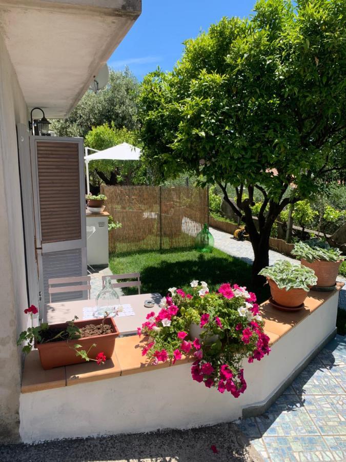 B&B Blanda Maratea Luaran gambar